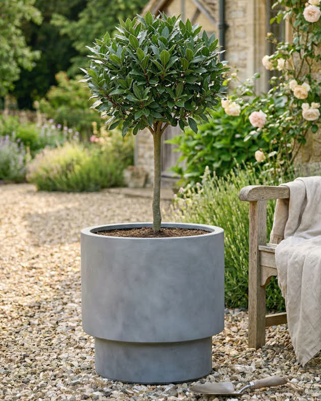 Noma Grey Planter Collection - Image 2