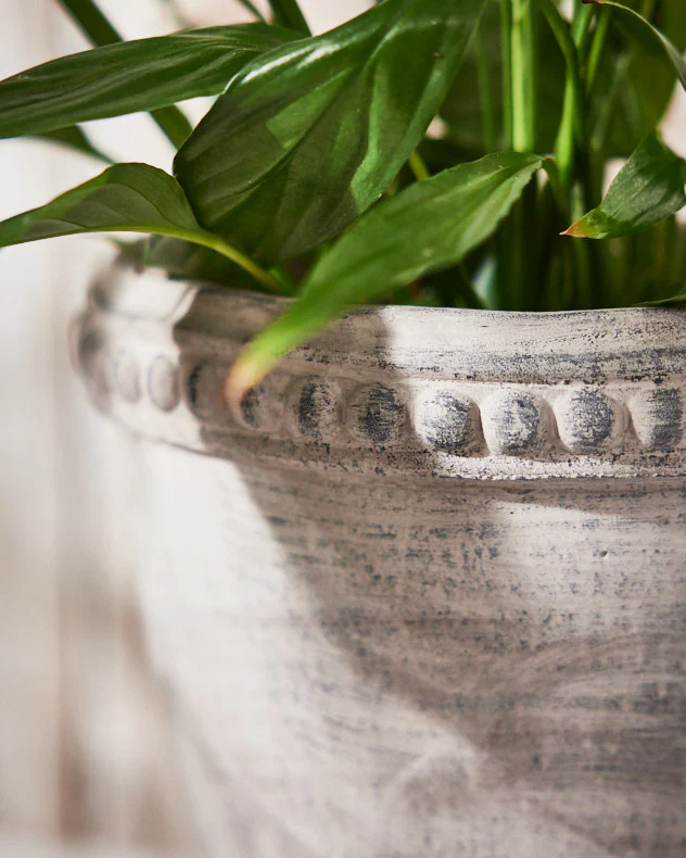 Olympia Plant Pot - Image 3