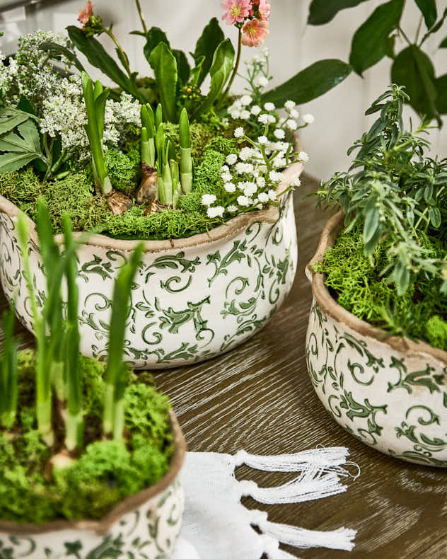 Personalised Irina Green Gift Set of 3 Planters - Image 4