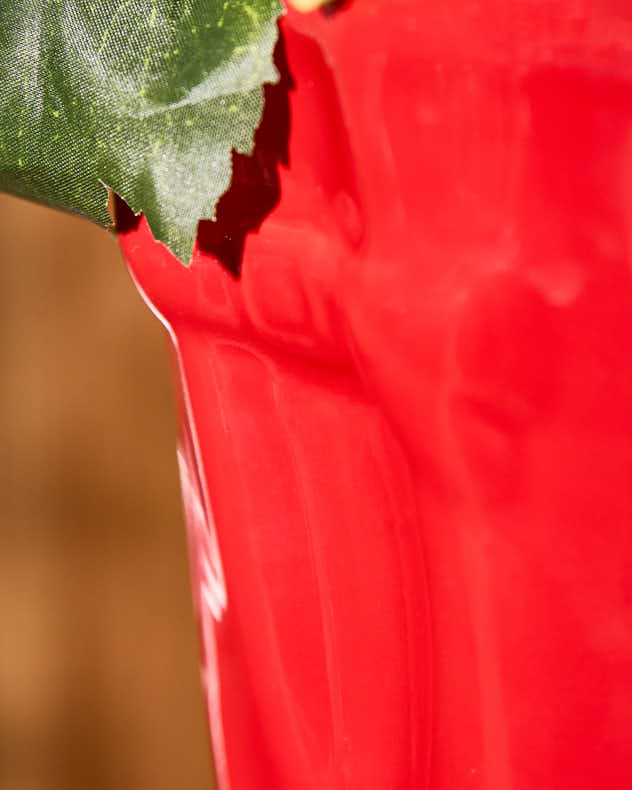 Personalised Large Red Welly Planter - Image 3