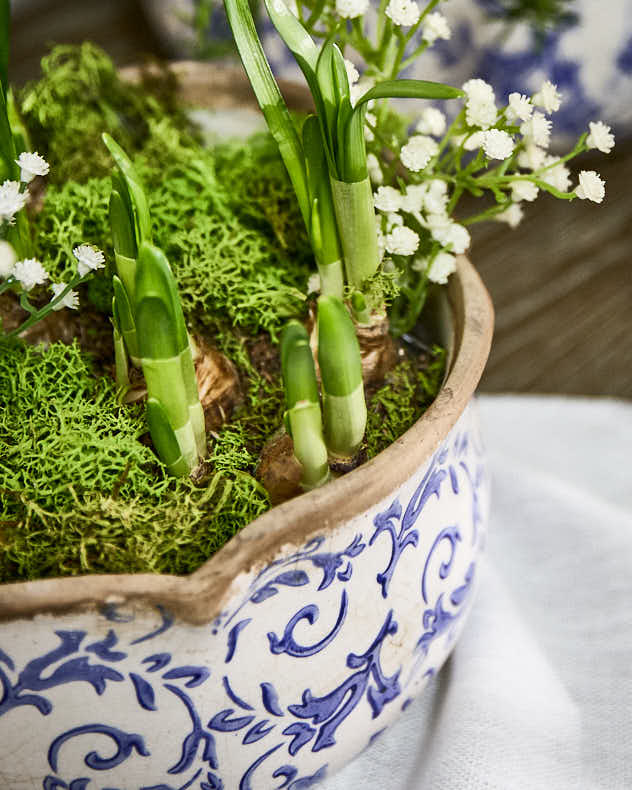 Personalised Solene Blue Gift Set of 3 Planters - Image 4