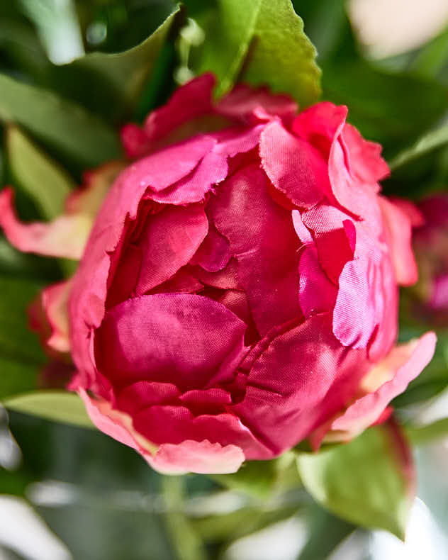 Pink Peonies in Globe Vase - Image 2