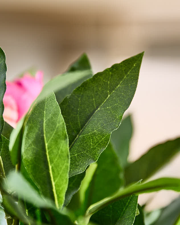 Pink Peonies in Globe Vase - Image 4