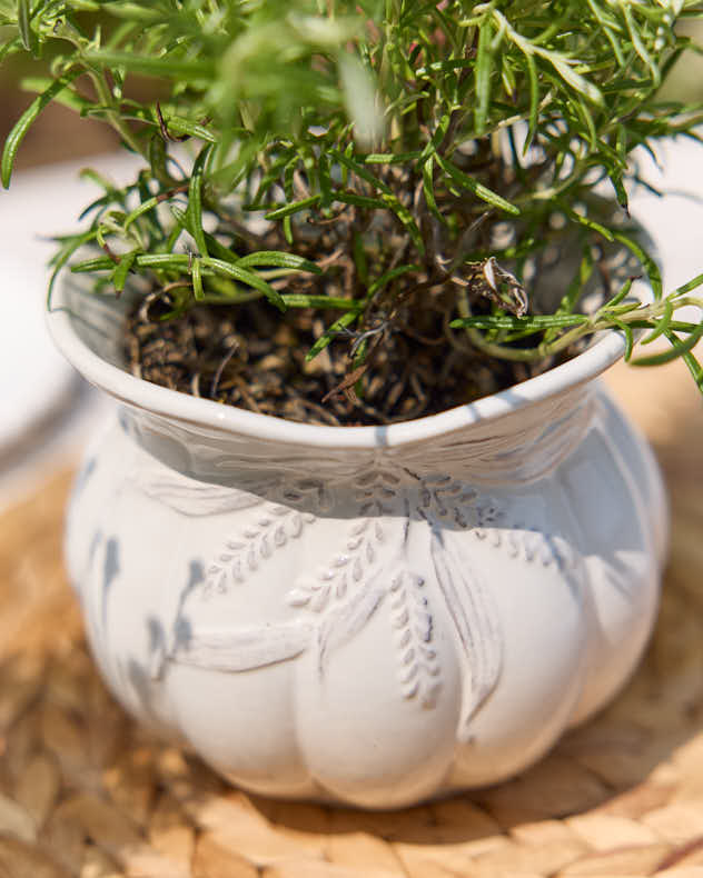 Radway White Plant Pot - Image 3