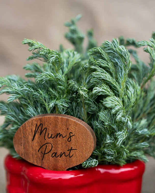 Red Welly Boot Planter with Personalised Marker - Image 3