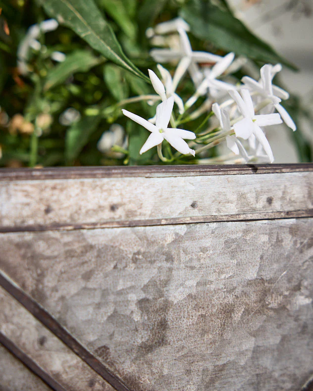 Roda Set of 3 Vintage Planter Boxes - Image 4