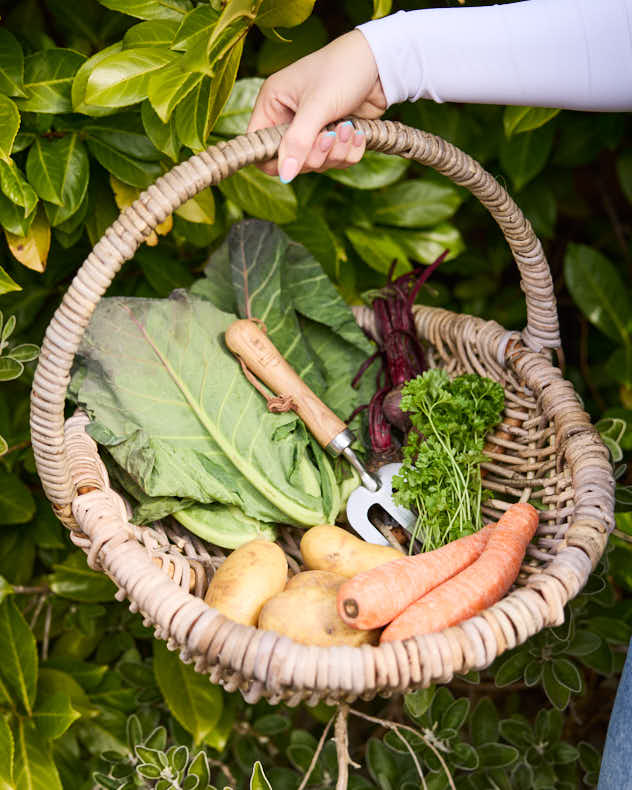 Round Wicker Harvest Trug - Image 3