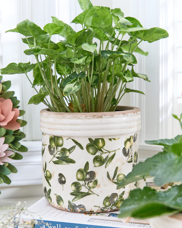 Rustic Ribbed Olive Planter - Image 3