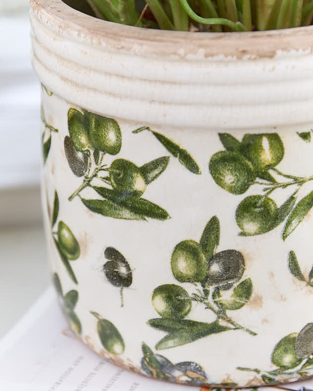 Rustic Ribbed Olive Planter - Image 4