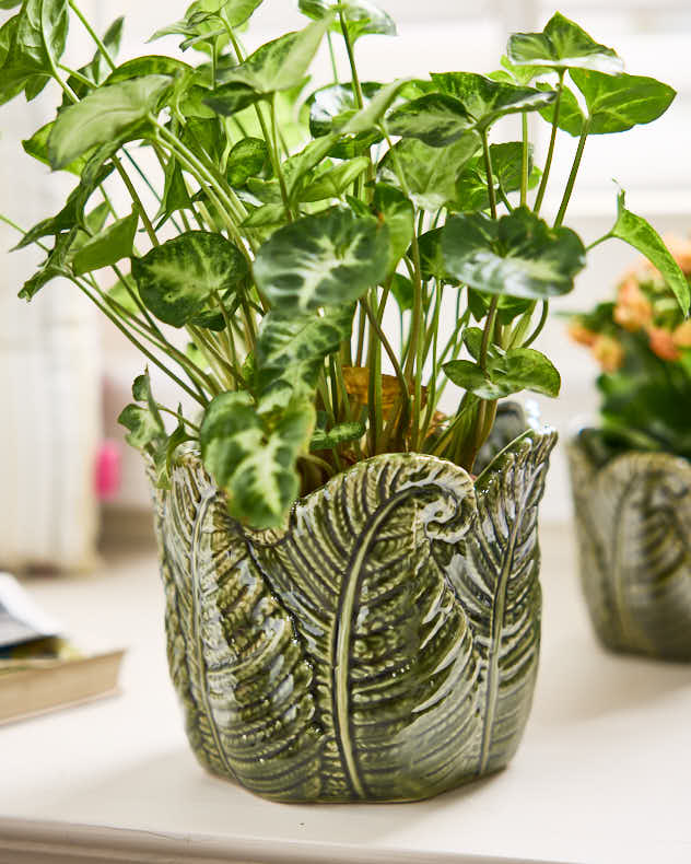 Set of 2 Ceramic Fern Leaf Planters - Image 3