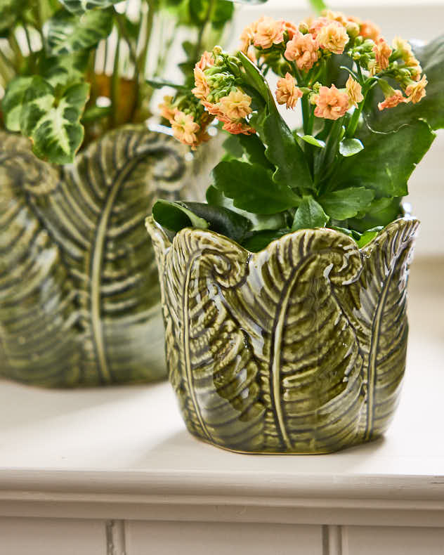 Set of 2 Ceramic Fern Leaf Planters - Image 4