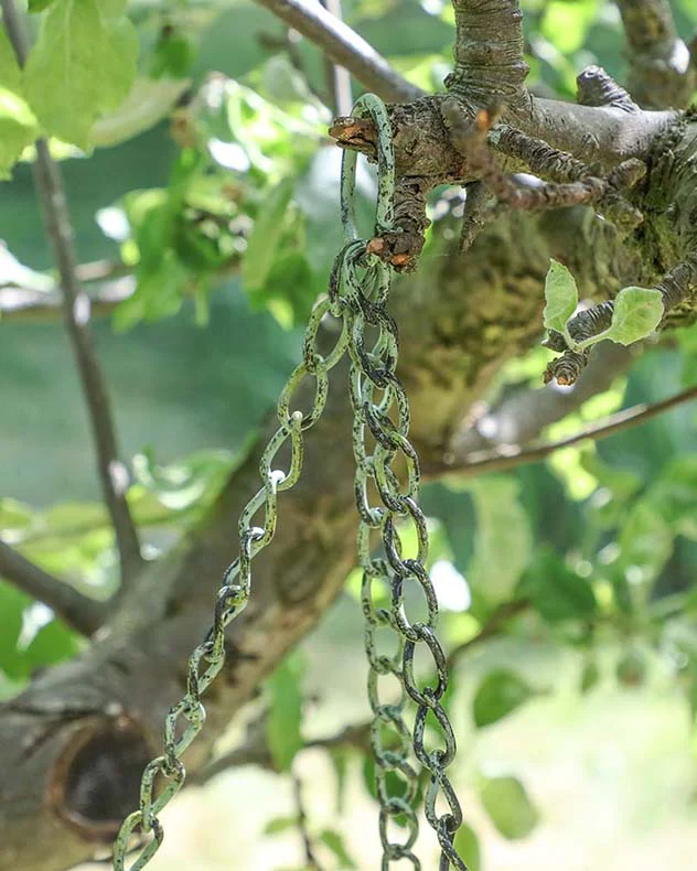Set of 2 Green Vintage Hanging Baskets - Image 5
