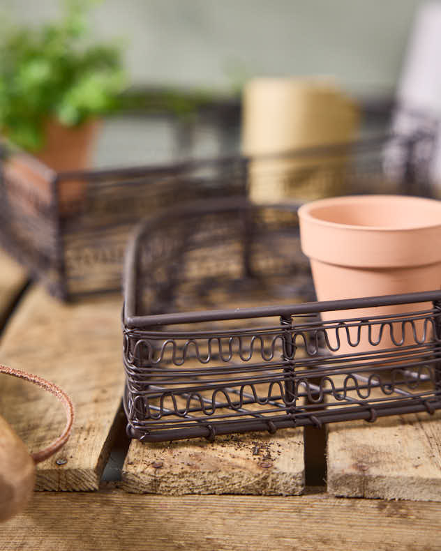 Set of 2 Seedling Flower Pot Planters - Image 2
