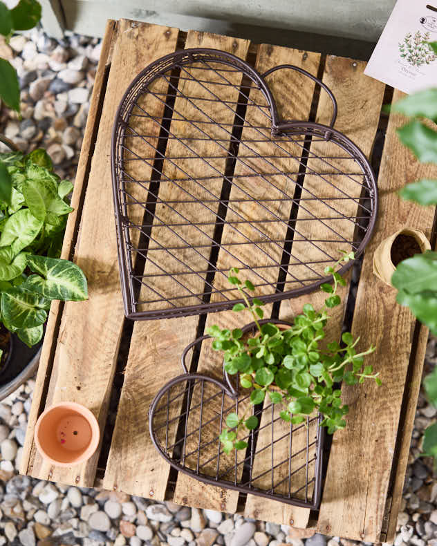 Set of 2 Seedling Flower Pot Planters - Image 3
