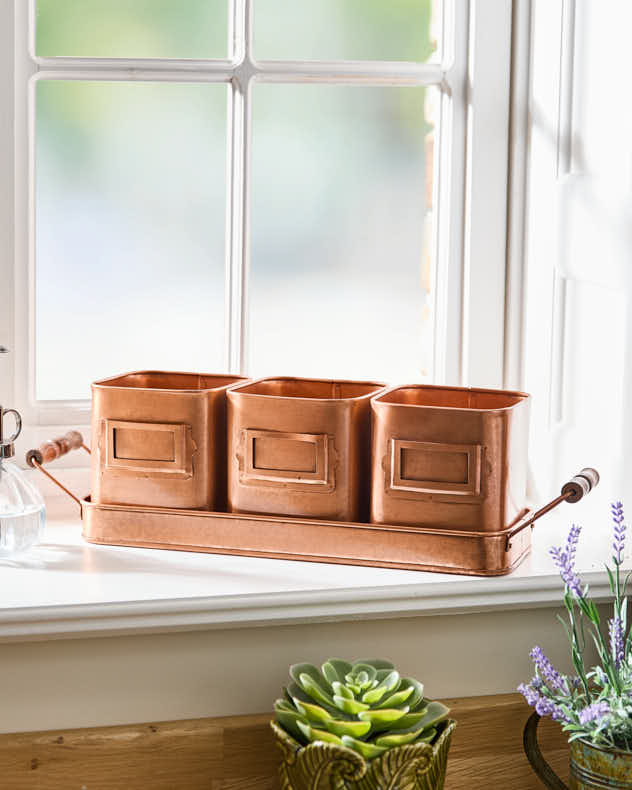 Set of 3 Copper Finish Herb Pots on Tray - Image 5