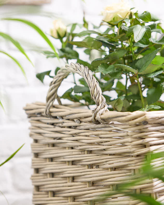 Set of 3 Basket Planters with Handles - Image 4