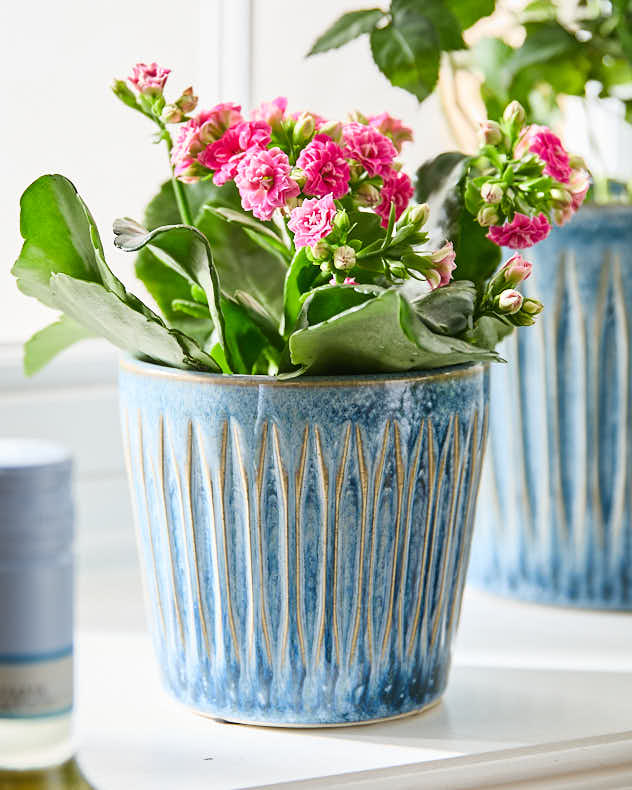 Set of 3 Ribbed Blue Planters - Image 4