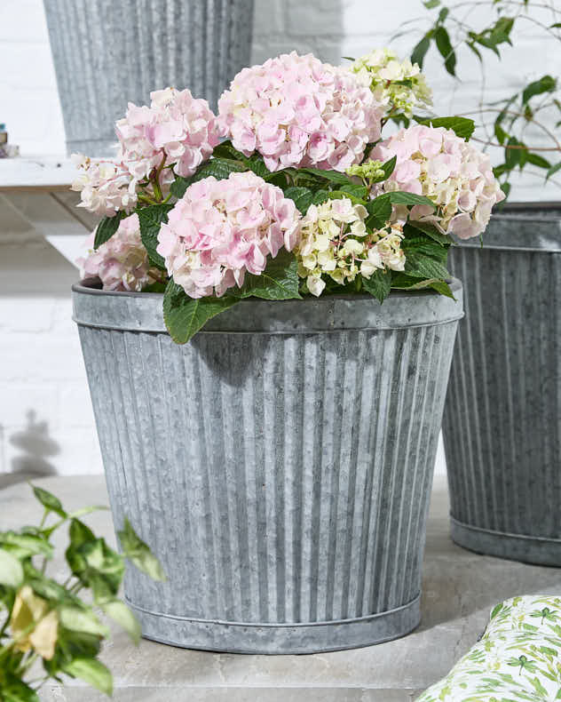 Set of 3 Ribbed Metal Bucket Planters - Image 2