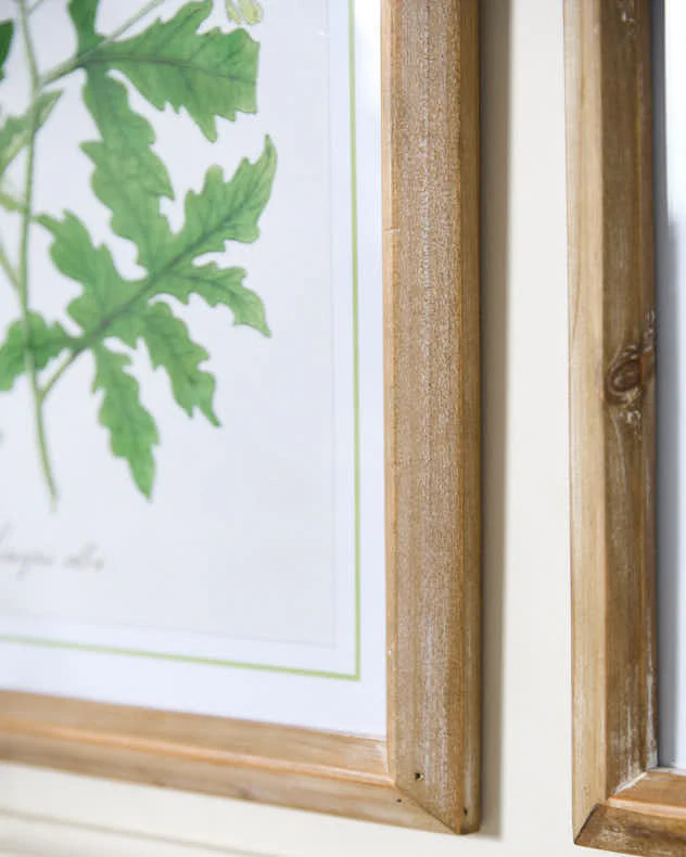 Set of 4 Framed Botanical Art Prints - Image 3
