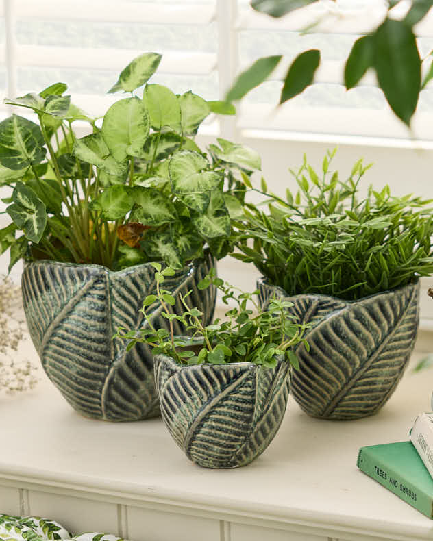 Set of 3 Botanic Indoor Planters - Image 3