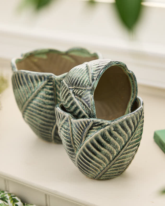 Set of 3 Botanic Indoor Planters - Image 4