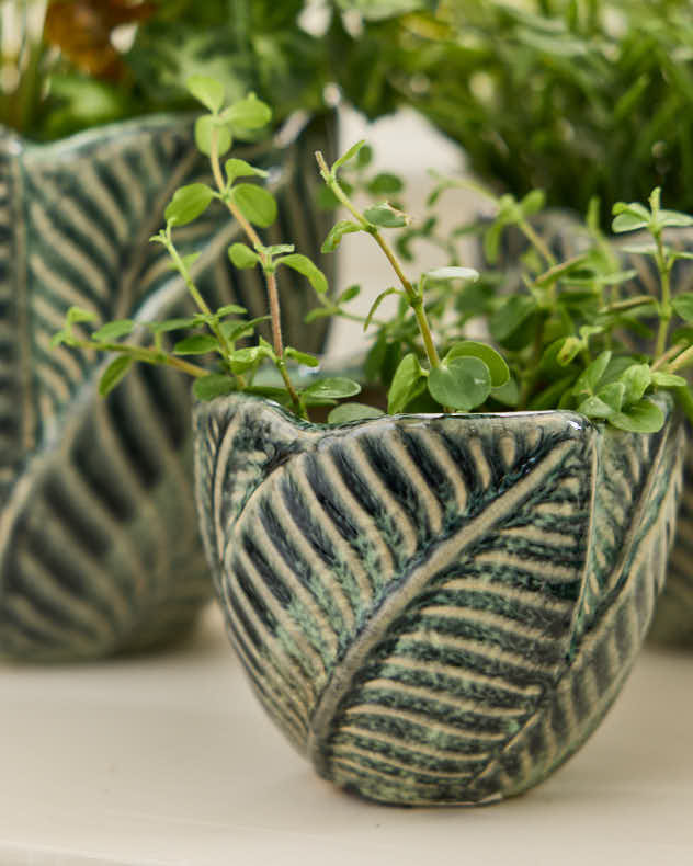 Set of 3 Botanic Indoor Planters - Image 5