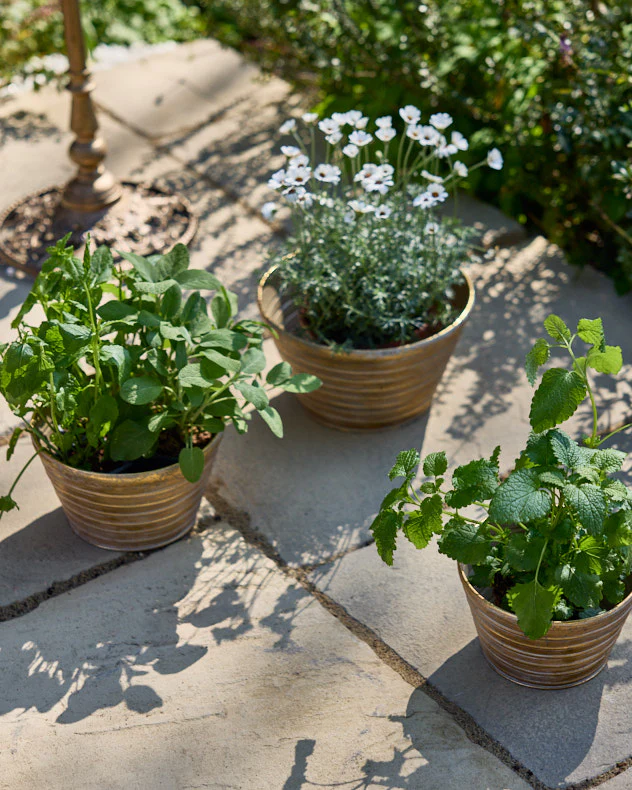 Sinda Set of 3 Ribbed Planters - Image 4