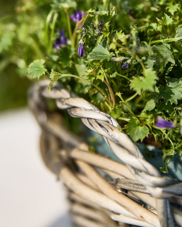 Small Round Wicker Tray Basket - Image 2