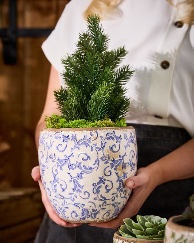Solene Blue Botanical Planter - Image 3
