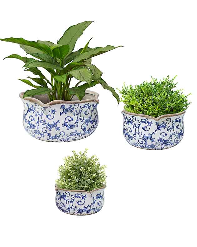 Solene Blue Botanical Set of 3 Planters - Image 5