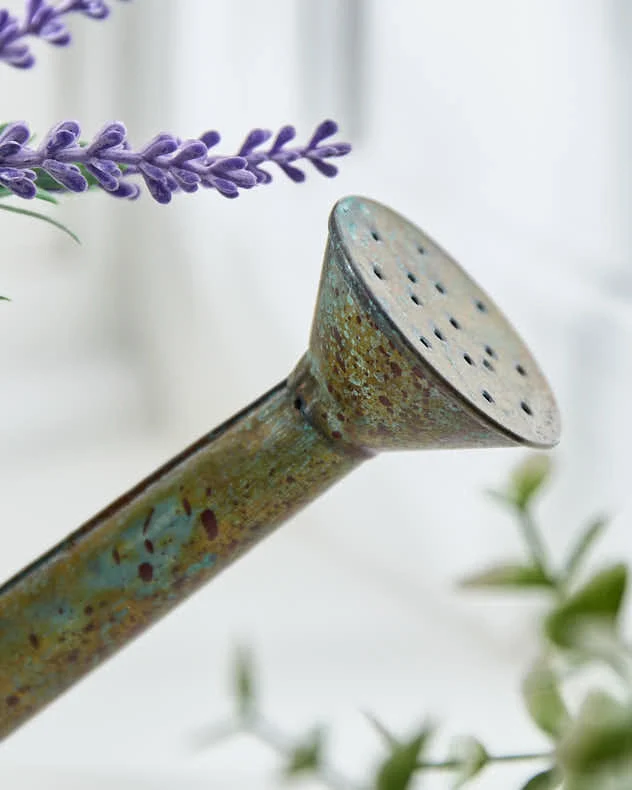 Lavender in Watering Can - Image 5