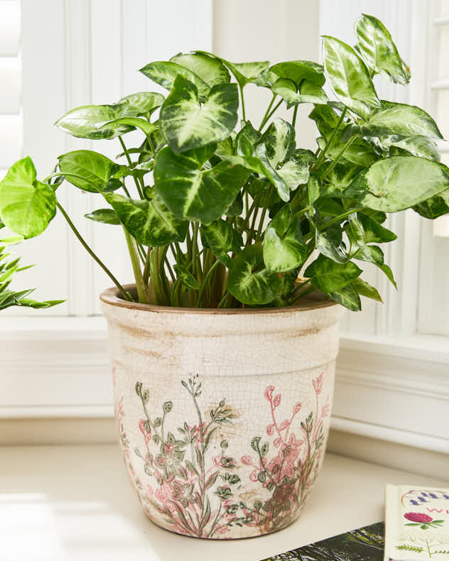 Spring Wildflowers Planter - Image 2