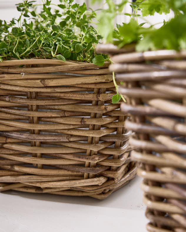 Square Lined Herb Planter Baskets - Image 5