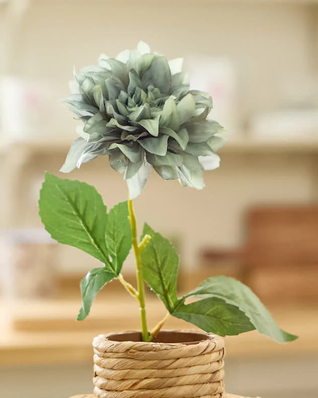 Sunset Dahlia Bunch - Image 3