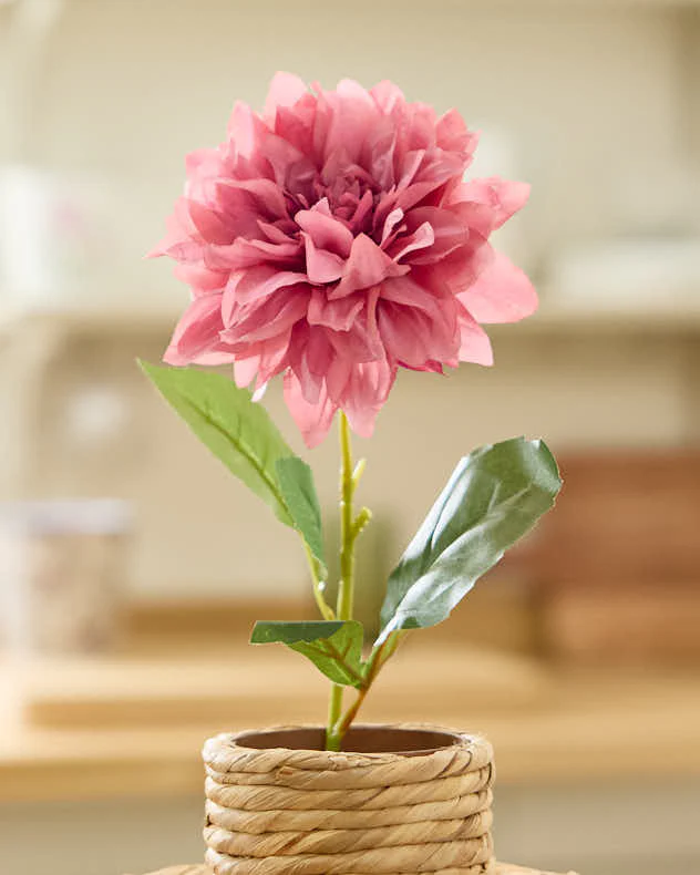 Sunset Dahlia Bunch - Image 4