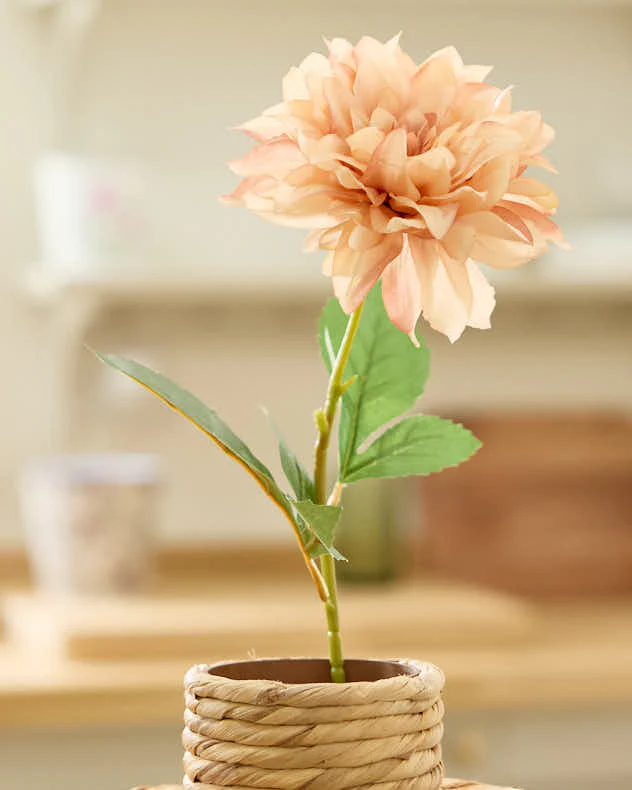 Sunset Dahlia Bunch - Image 5