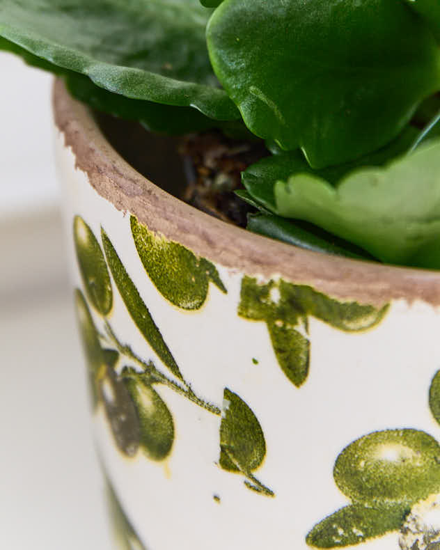 Tapered Rustic Olive Planter - Image 3