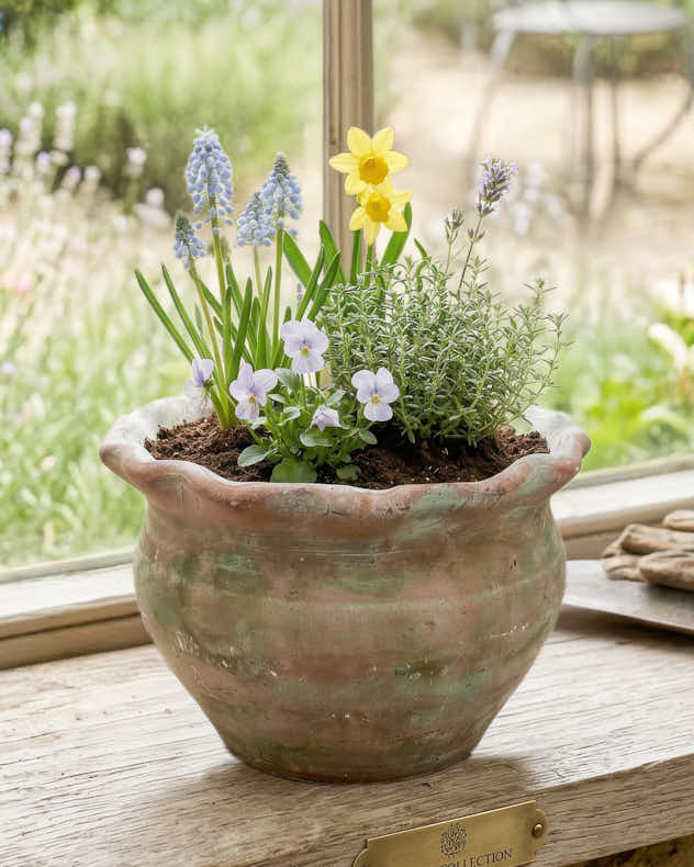 Terracotta Pie Crust Planters - Image 3