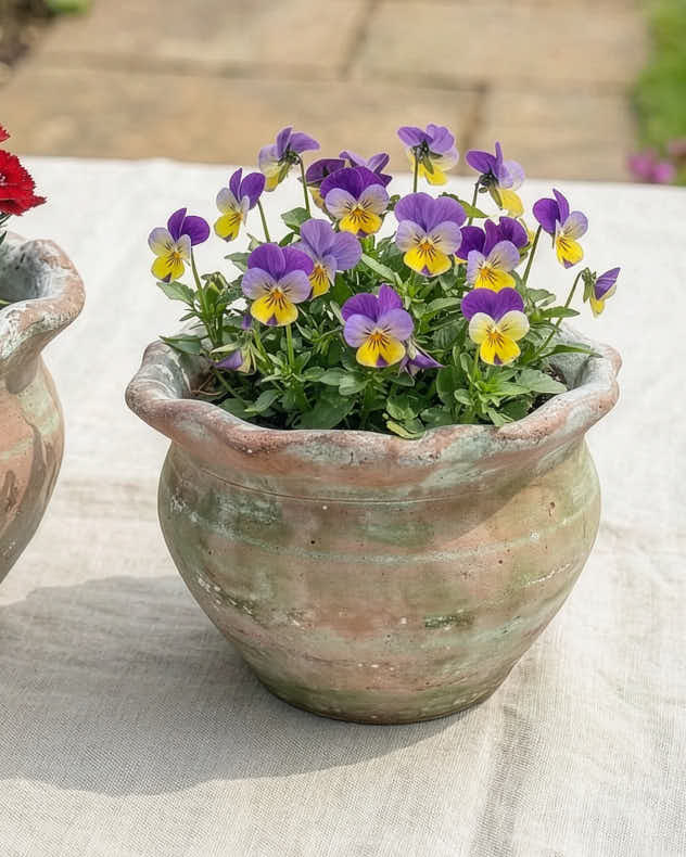 Terracotta Pie Crust Planters - Image 5