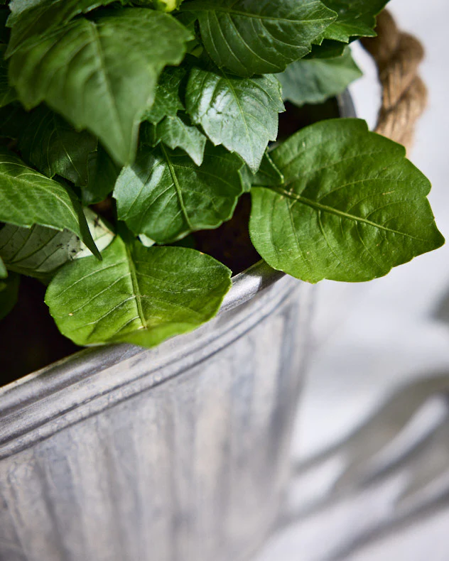 Toma Medium Metal Planter with Handles - Image 3