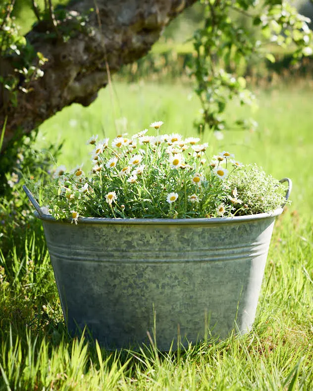 Traditional Metal Planter Tub with Handles