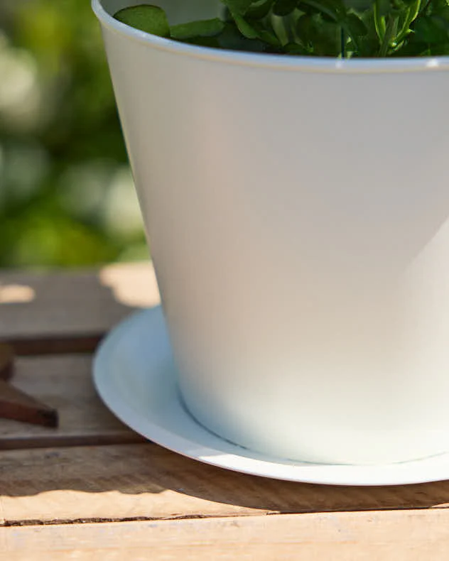Vintage Cream Tea Cup Planter - Image 3
