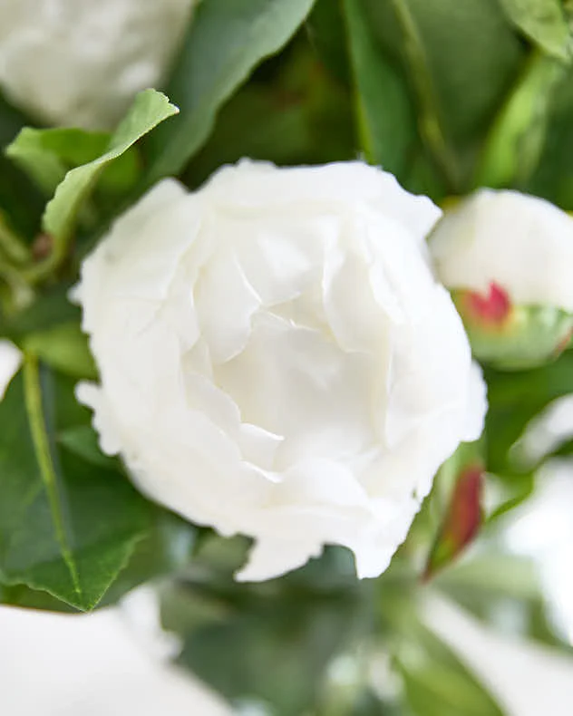 White Peonies in Globe Vase - Image 4