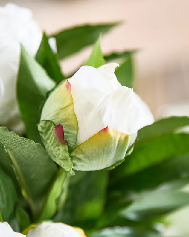 White Peonies in Globe Vase - Image 5