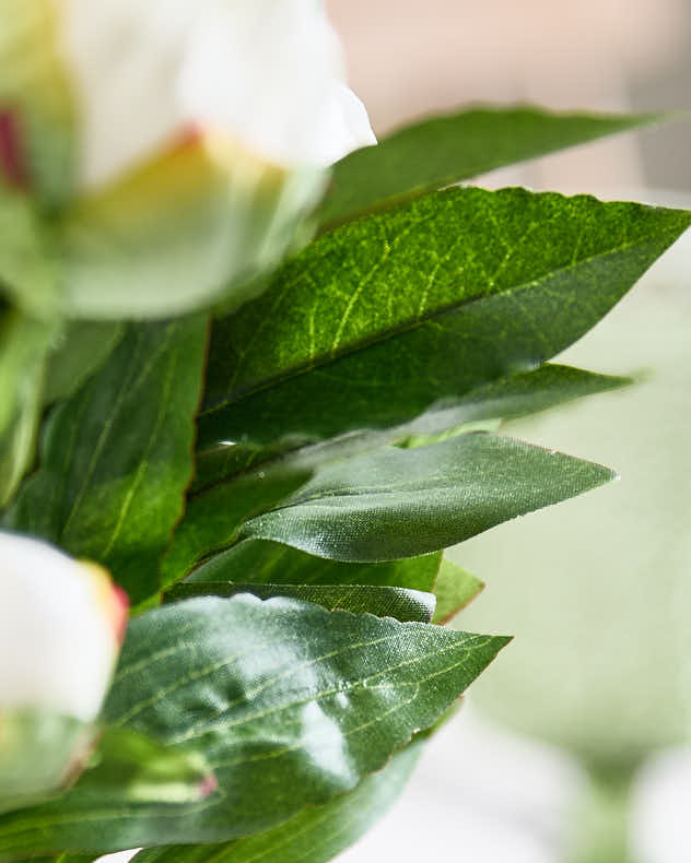 White Peonies in Globe Vase - Image 6