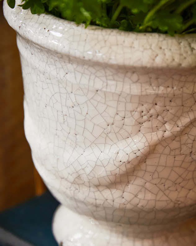 Whitehill Ceramic Planters - Image 4