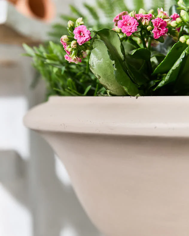 Wide Terracotta Urn Planter - Image 3
