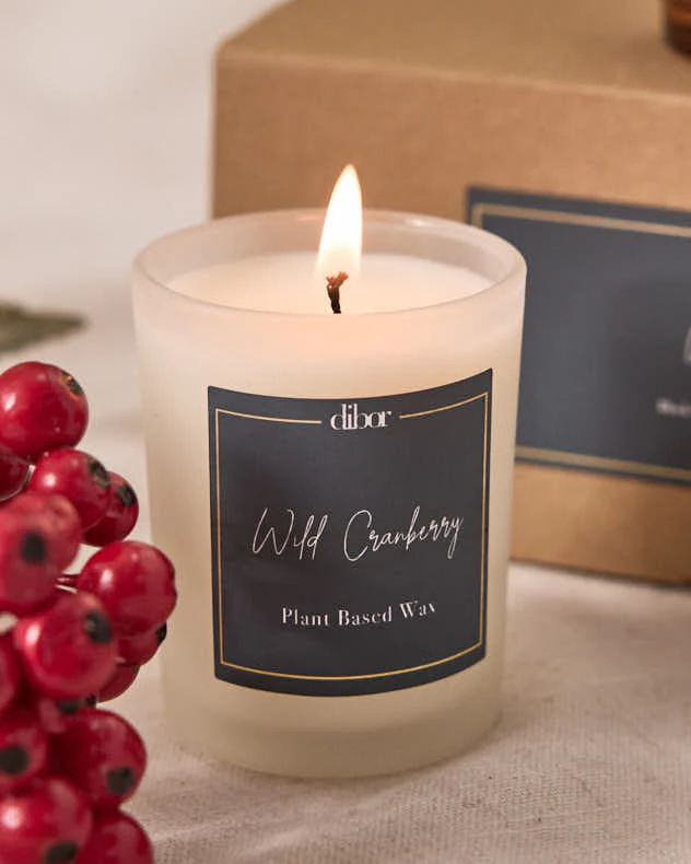 Winter Fruits Set of 3 9cl Candles - Image 4