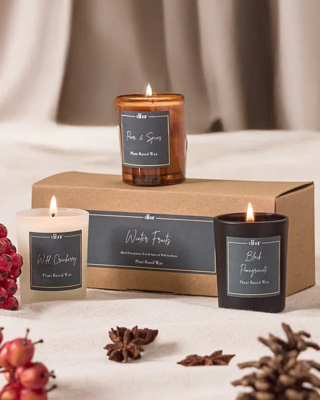 Winter Fruits Set of 3 9cl Candles - Image 5