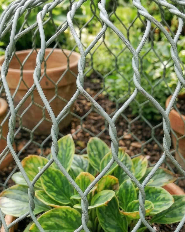 Wired Bell Garden Cloche - Image 3